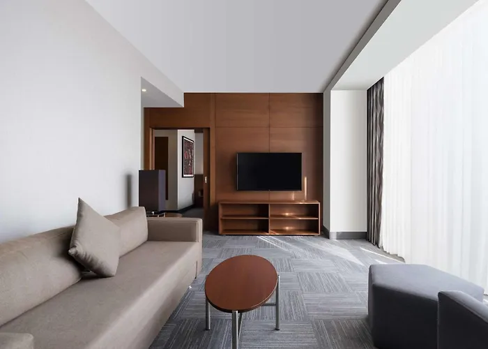 Radisson Blu Cankaya 5* 安卡拉