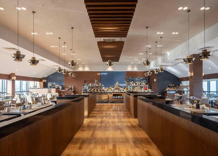 Radisson Blu Cankaya 酒店 安卡拉