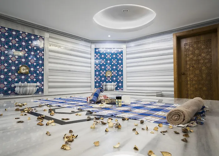 酒店 Radisson Blu Cankaya