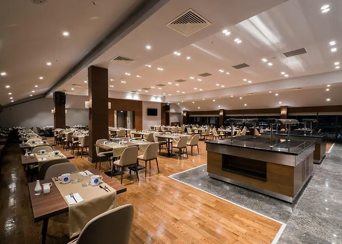 酒店 Radisson Blu Cankaya 安卡拉