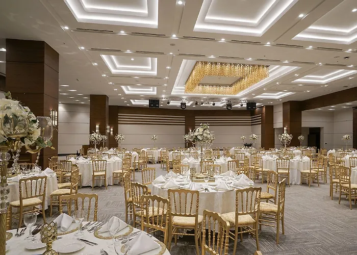 Radisson Blu Cankaya 安卡拉