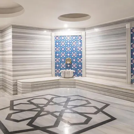 Radisson Blu Cankaya 安卡拉