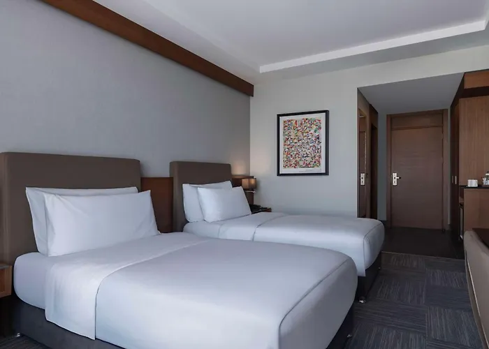 Szálloda Radisson Blu Cankaya 5*